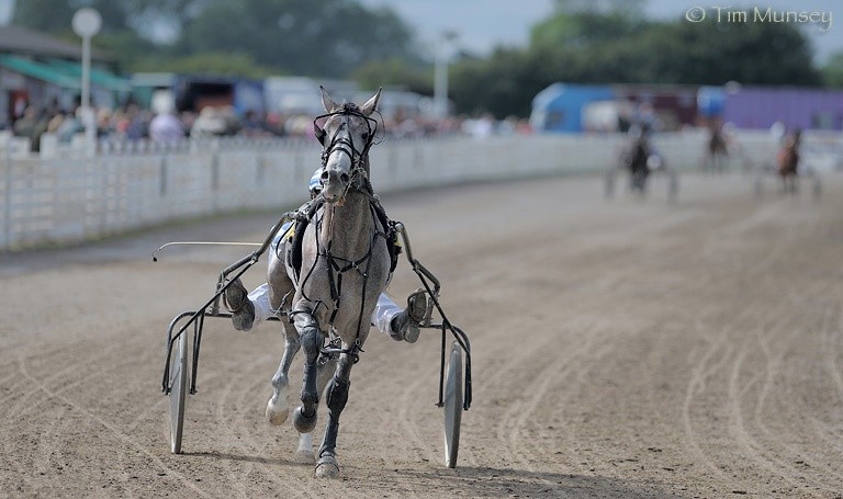 Harness racing 120708_8.jpg